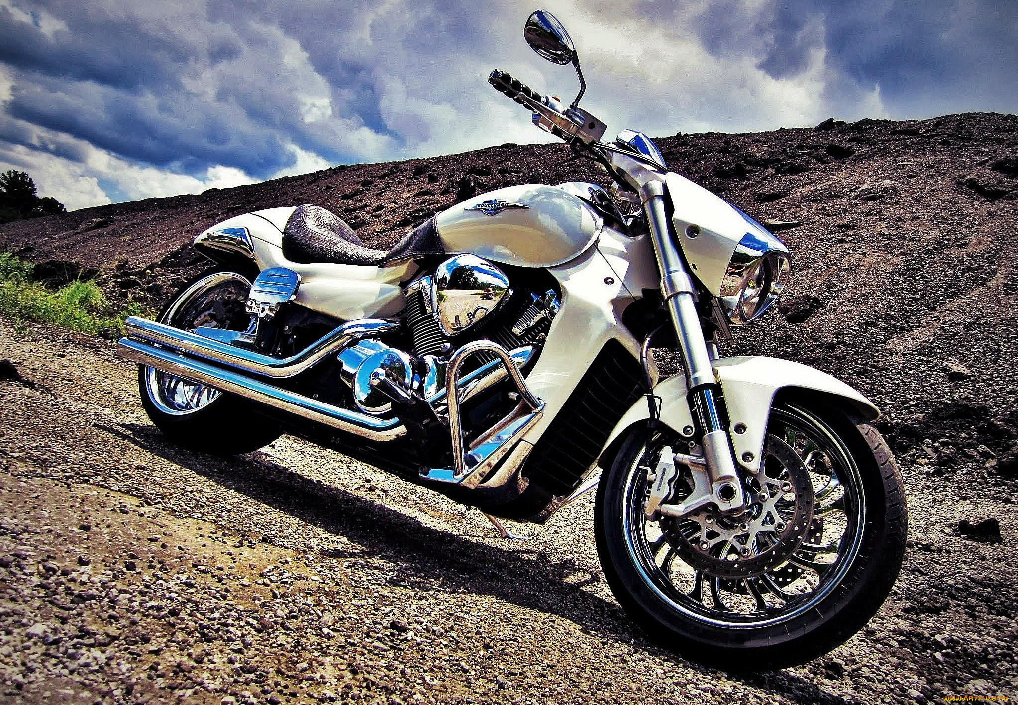 harley-davidson, , motor, company, , 